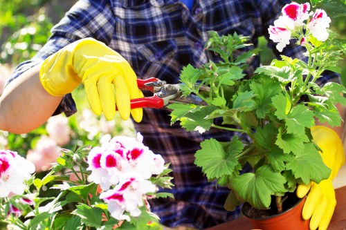 Gardener in Ratcliff using safe working practices in a managed outdoor setting