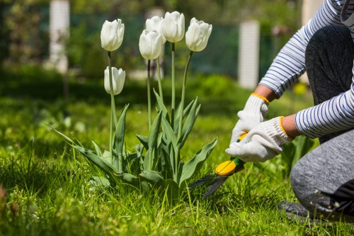 Complaint review for a gardening service
