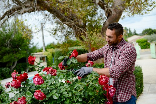 Landscape planning and plant selection for Ratcliff outdoor spaces