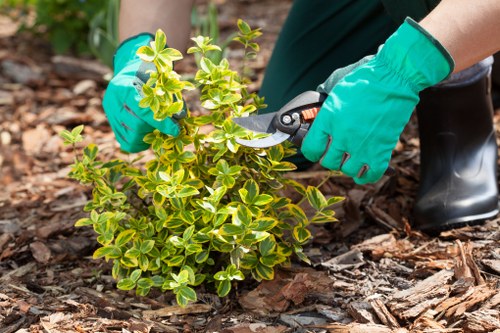 Following a structured garden complaints procedure