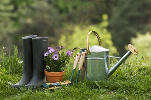 Seasonal lawn mowing and trimming for Ratcliff properties
