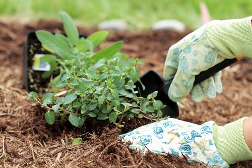 Reliable garden maintenance in Ratcliff with attention to detail
