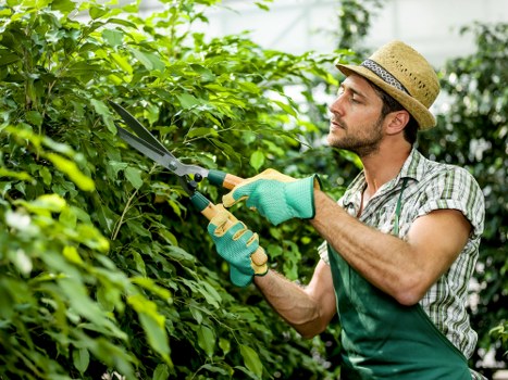 Ratcliff gardening insurance covering public liability for outdoor work