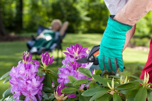 Ratcliff gardeners maintaining healthy lawn and borders