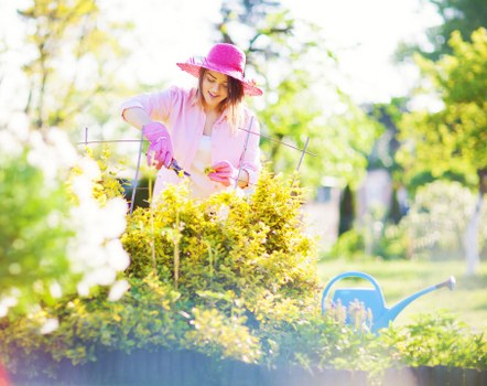 Consistent grass cutting schedule for a healthy Ratcliff lawn