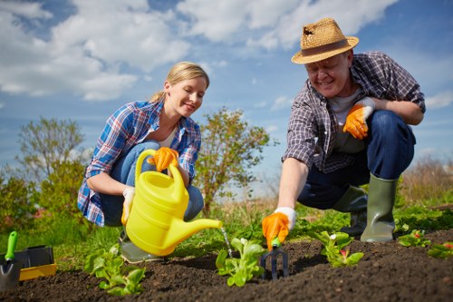 Autumn garden maintenance in Ratcliff with leaf clearance and planting