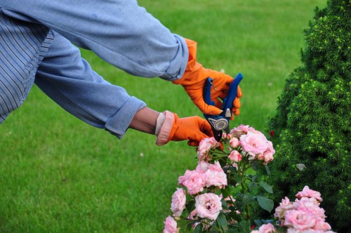 Professional garden maintenance in Ratcliff improving a small urban garden