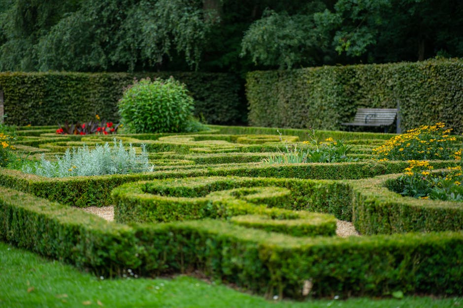 A small wooden garden door set into a dense, neatly trimmed hedge of glossy green foliage, with the hedge forming an arch around the door. The door is constructed from horizontal wooden planks, weathe